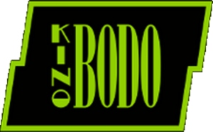 Kino BODO