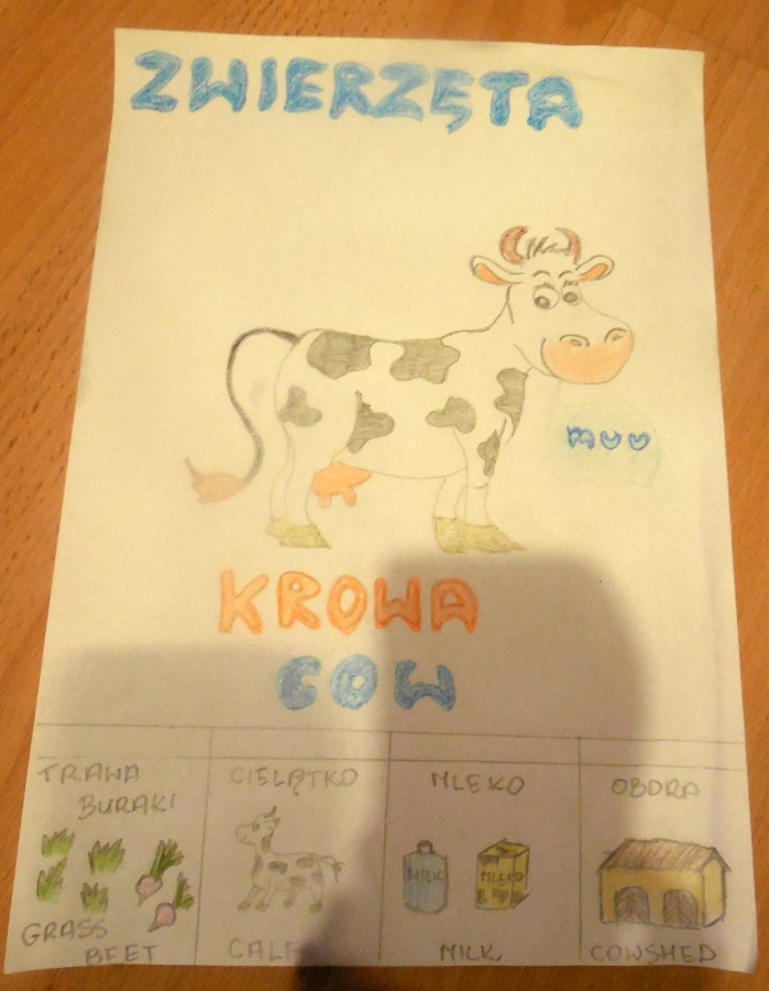 Wiedza &#8211; moja pasja. Konkurs edukacyjny (zakończony)