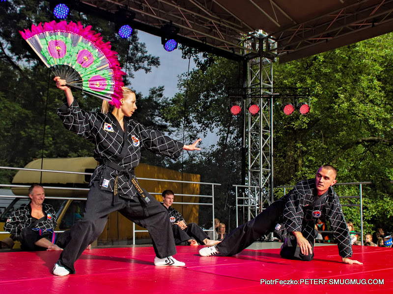 Hapkido Moo Hak Kwan Polska