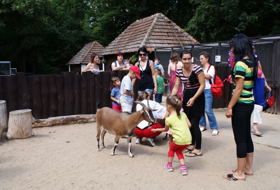 Miejski Ogród Zoologiczny