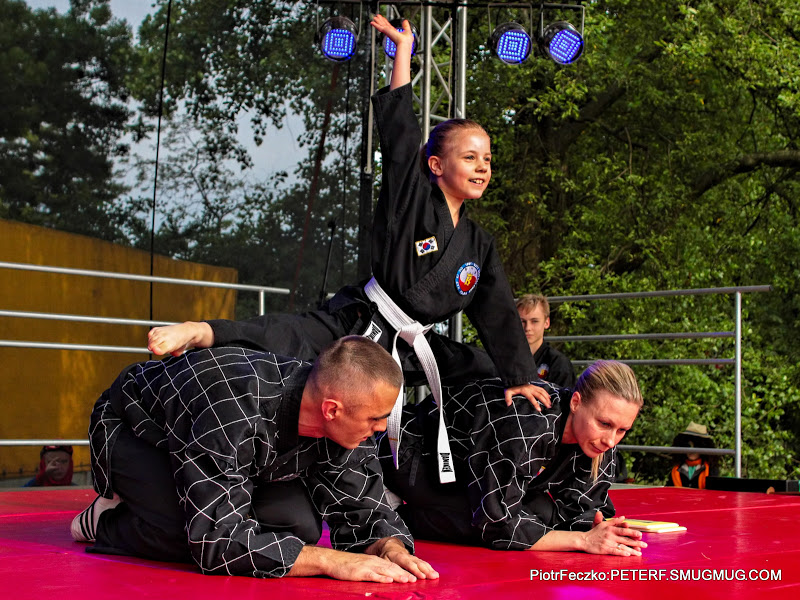 Hapkido Moo Hak Kwan Polska