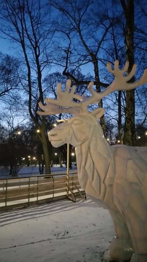 Lodowisko - Krakowskie Błonia