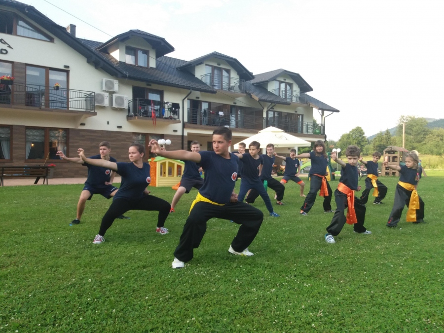 Choy Lee Fut Kung Fu dla dzieci od 4 roku życia