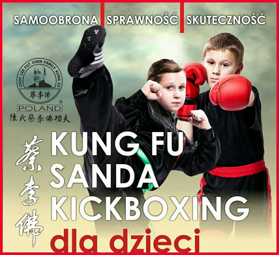 Choy Lee Fut Kung Fu dla dzieci od 4 roku życia