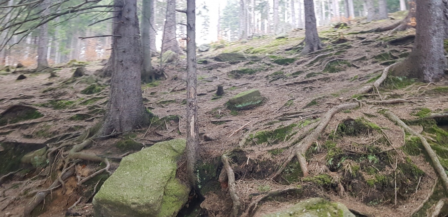 Wiosna, ach to Ty! - konkurs fotograficzny (zakończony)