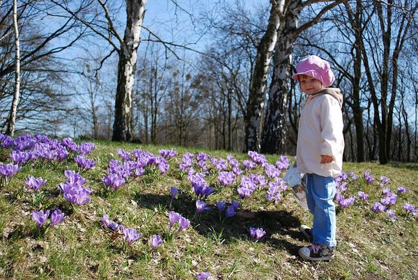 Wakacyjna wycieczka (zakończony) - Poznań - Park Cytadela