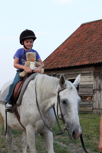 Zabierz Misia na wycieczkę! - konkurs fotograficzny (zakończony)