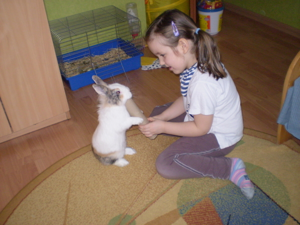 Małe Zoo Lucy (Zakończony)