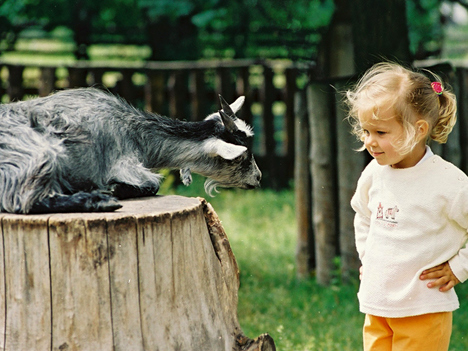 Małe Zoo Lucy (Zakończony)