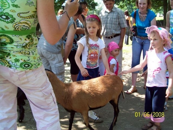 Małe Zoo Lucy (Zakończony)