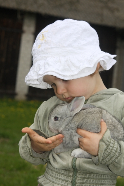 Małe Zoo Lucy (Zakończony)