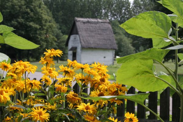 Muzeum "Górnośląski Park Etnograficzny w Chorzowie"