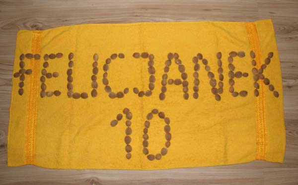 Felicjanek 10 (Zakończony)