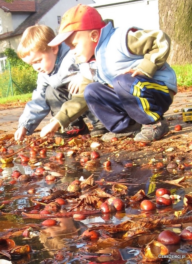 Kasztanowy konkurs (zakończony)