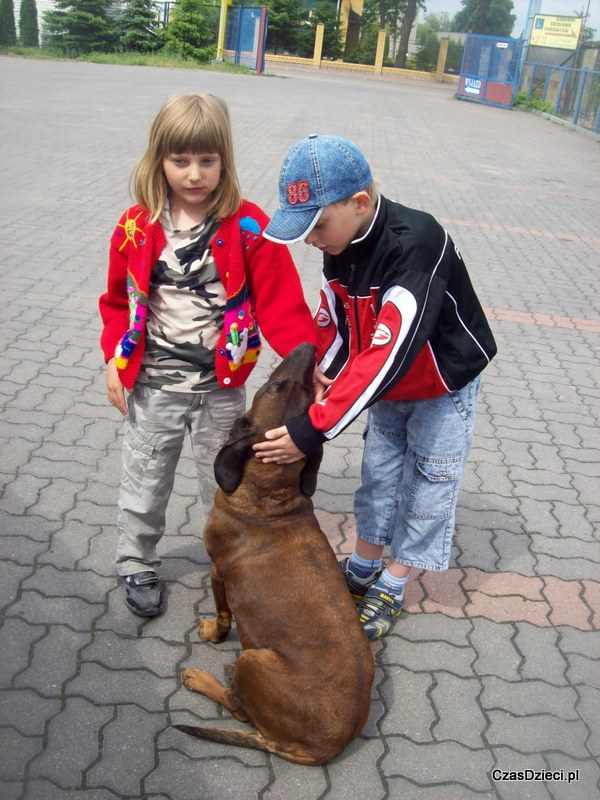 Zakochana akcja konkursowa z Zakochanym Kundlem (zakończony)