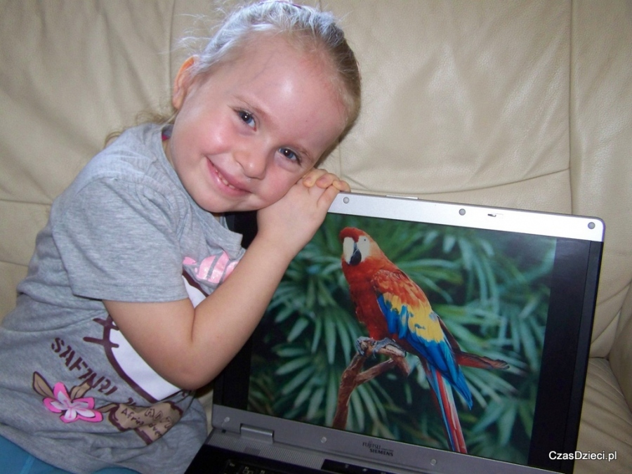 Złap Papugę i Aligatora - konkurs fotograficzny (zakończony)