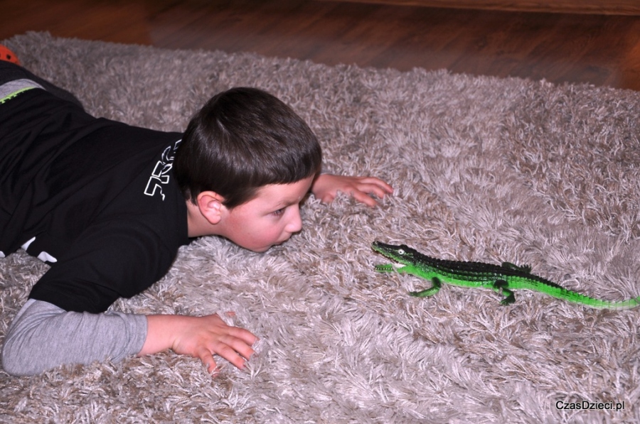 Złap Papugę i Aligatora - konkurs fotograficzny (zakończony)