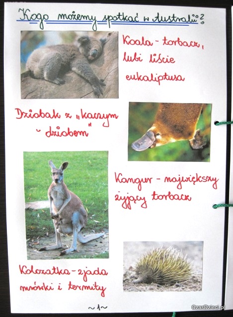 Konkurs EMU Australia (zakończony)