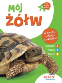 Mój żółw