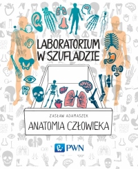 Laboratorium w szufladzie. Anatomia człowieka