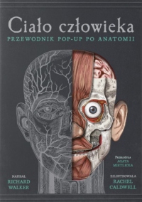 Ciało człowieka: przewodnik pop-up po anatomii