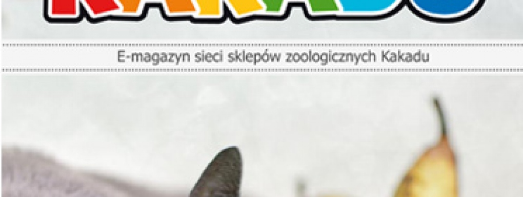 Kolejne wydanie e-magazynu Kakadu już dostępne!