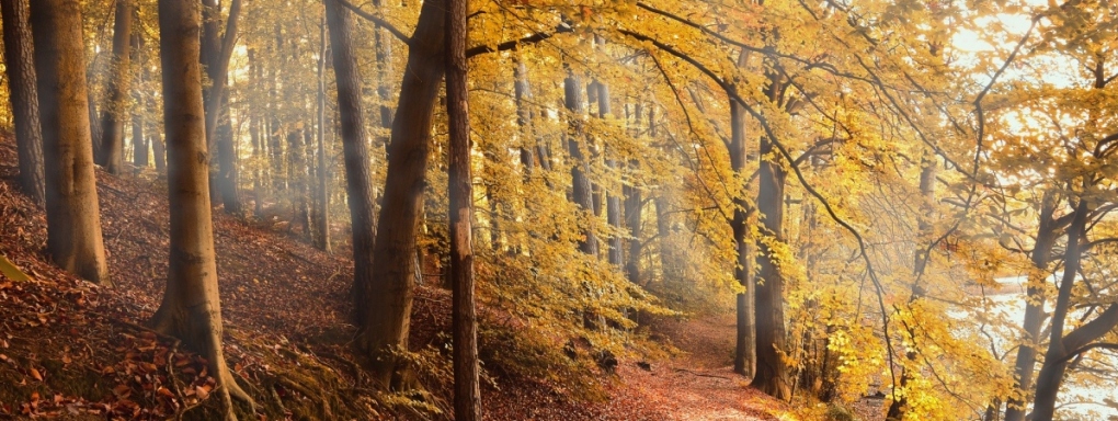 Książki na Czasie - Październik 2019