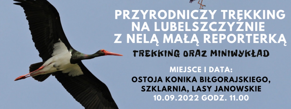 10 września 2022 zapraszamy dzieci, młodzież i dorosłych na wspólny trekking z Nelą Małą Reporterką po lasach janowskich