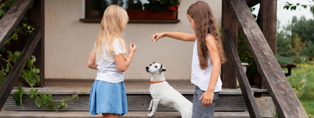 Jaka rasa psa będzie najlepsza dla dzieci?