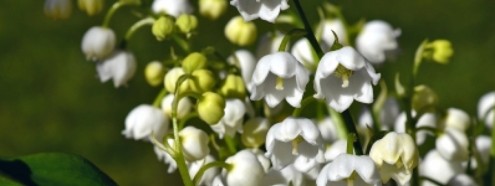 Książki na Czasie - Maj 2019 