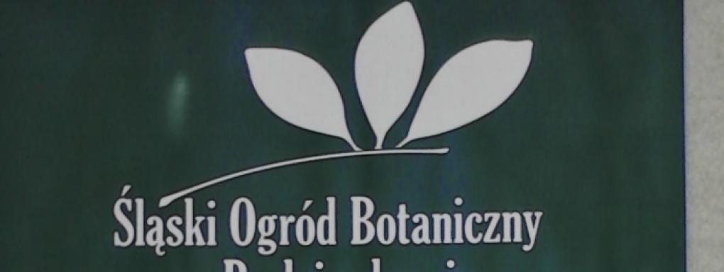 Warsztaty Zimowe w Śląskim Ogrodzie Botanicznym w Radzionkowie 