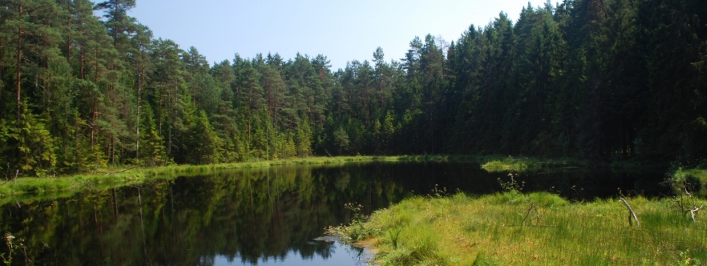 Wigierski Park Narodowy