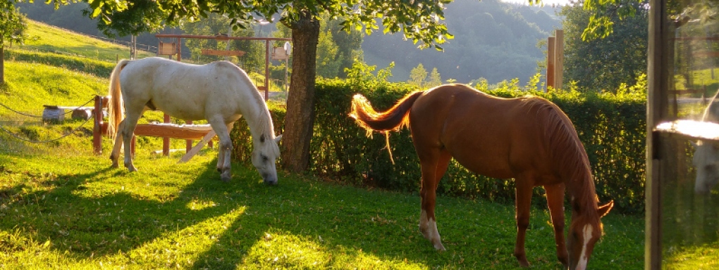 Rancho Panderoza