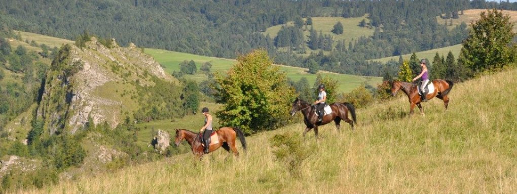 Jazda konna - Szczawnica