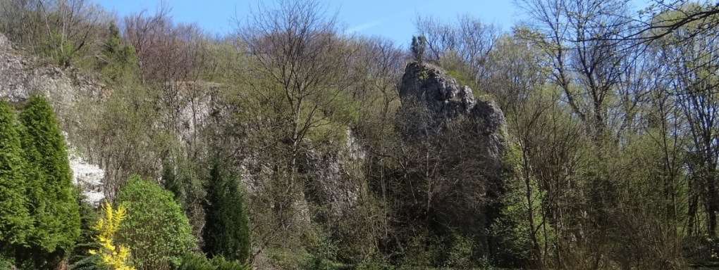 Dolina Sąspowska, Park Ojcowski