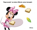 Piknik Minnie