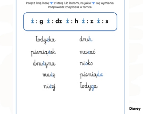 ZAGRAJ - Ortograficzne odmiany