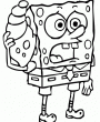 SpongeBob 