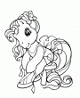 Kucyk Pony